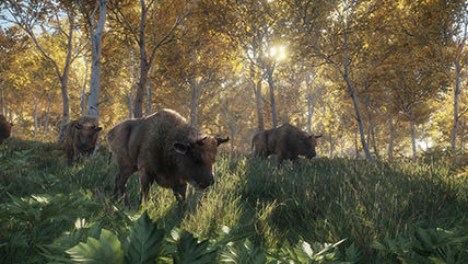 ​theHunter: Call of the Wild Review